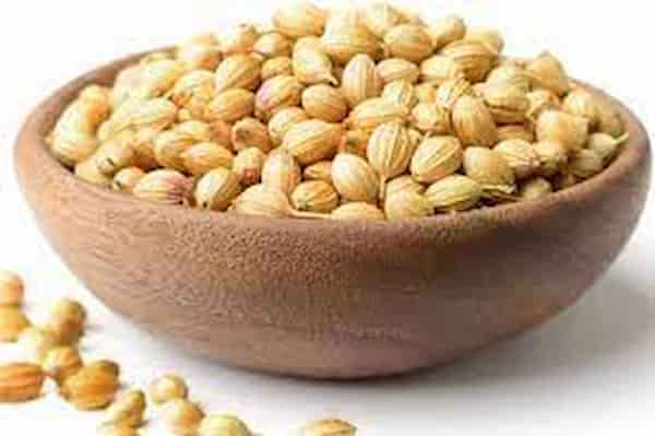 تصویر 4 از خرید و قیمت تخم گشنیز کیلویی + فروش عمده